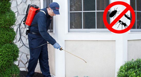 Balatçık Akrep İlaçlama böcek ilaçlama ve haşere kontrolü — ilaclama-tr.com